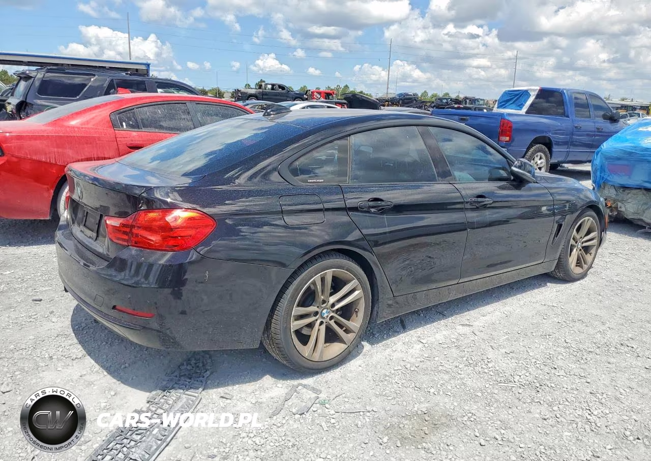 2015 BMW 428 I Gran Coupe VIN:WBA4A5C55FGK16121 - 3