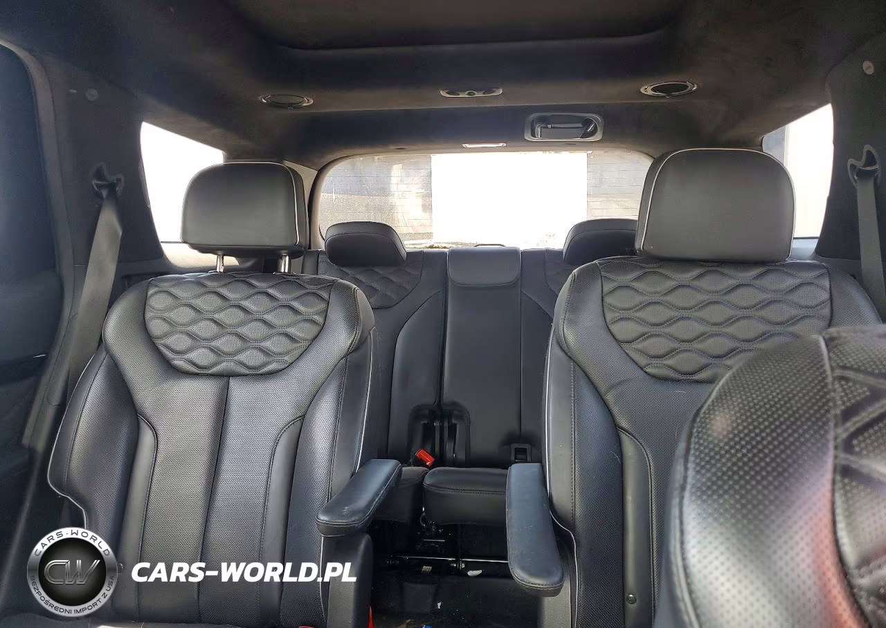 2021 Hyundai Palisade Calligraphy VIN:KM8R7DHE8MU220703 - 10