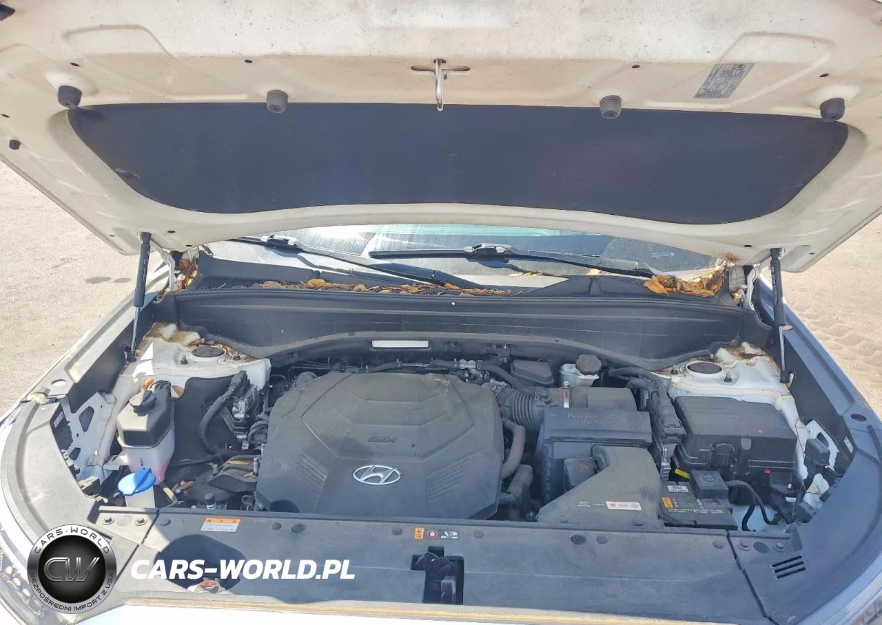 2021 Hyundai Palisade Calligraphy VIN:KM8R7DHE8MU220703 - 12
