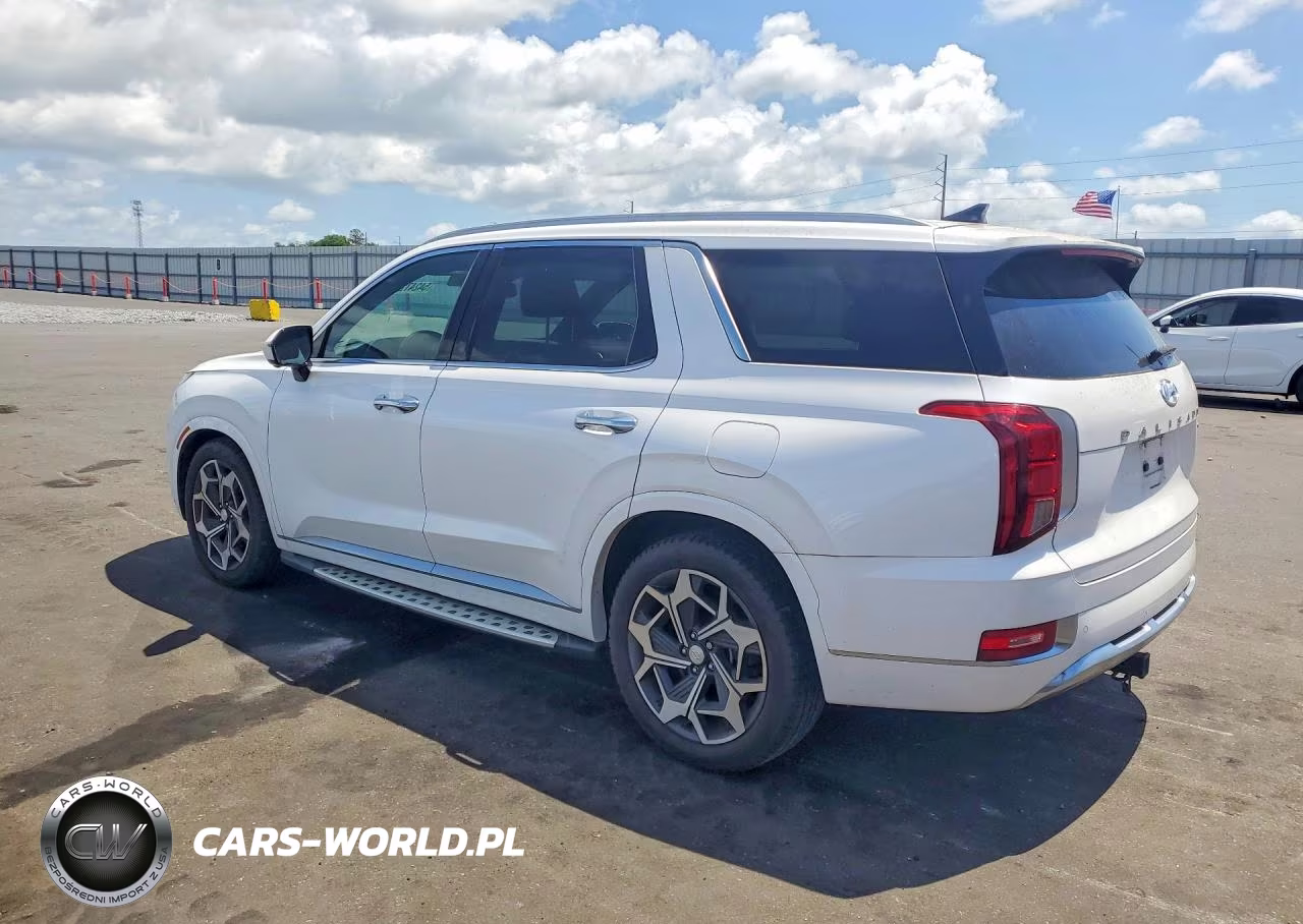 2021 Hyundai Palisade Calligraphy VIN:KM8R7DHE8MU220703 - 2