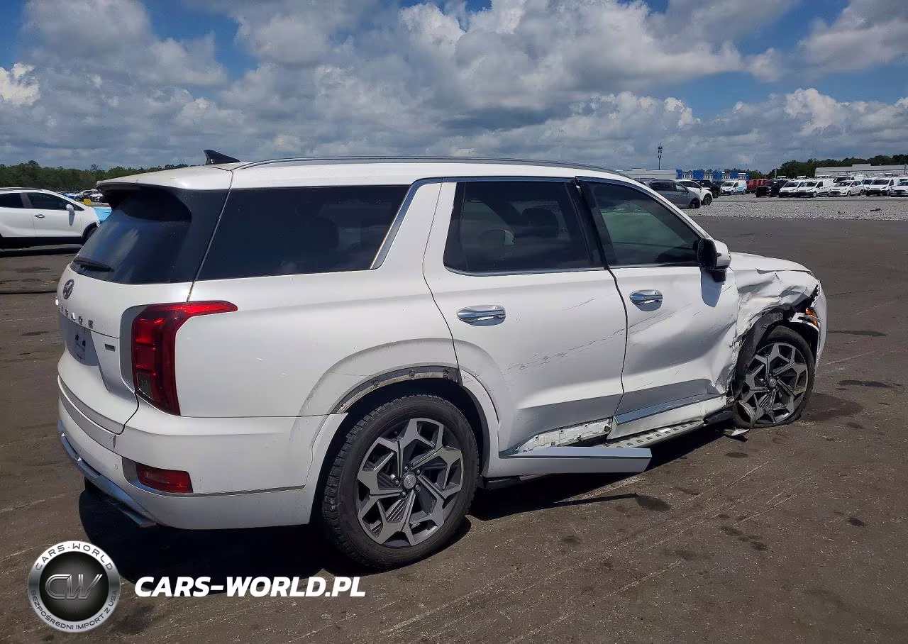 2021 Hyundai Palisade Calligraphy VIN:KM8R7DHE8MU220703 - 3