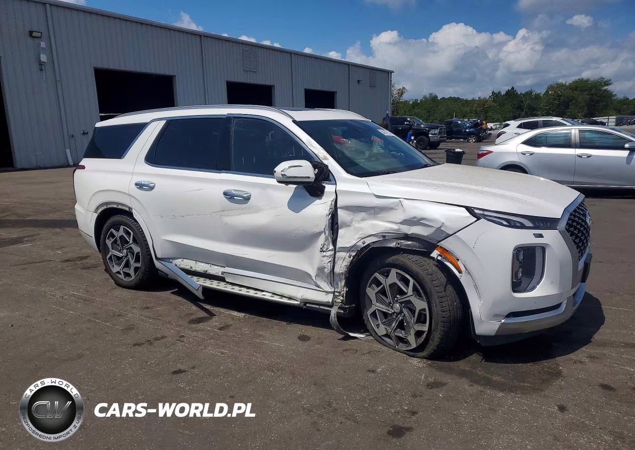 2021 Hyundai Palisade Calligraphy VIN:KM8R7DHE8MU220703 - 4