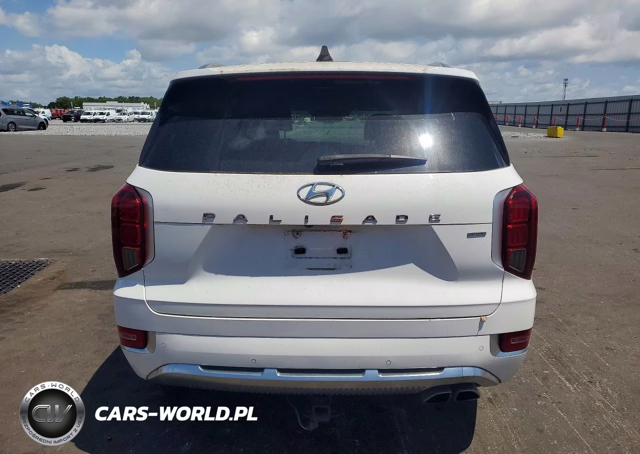 2021 Hyundai Palisade Calligraphy VIN:KM8R7DHE8MU220703 - 6