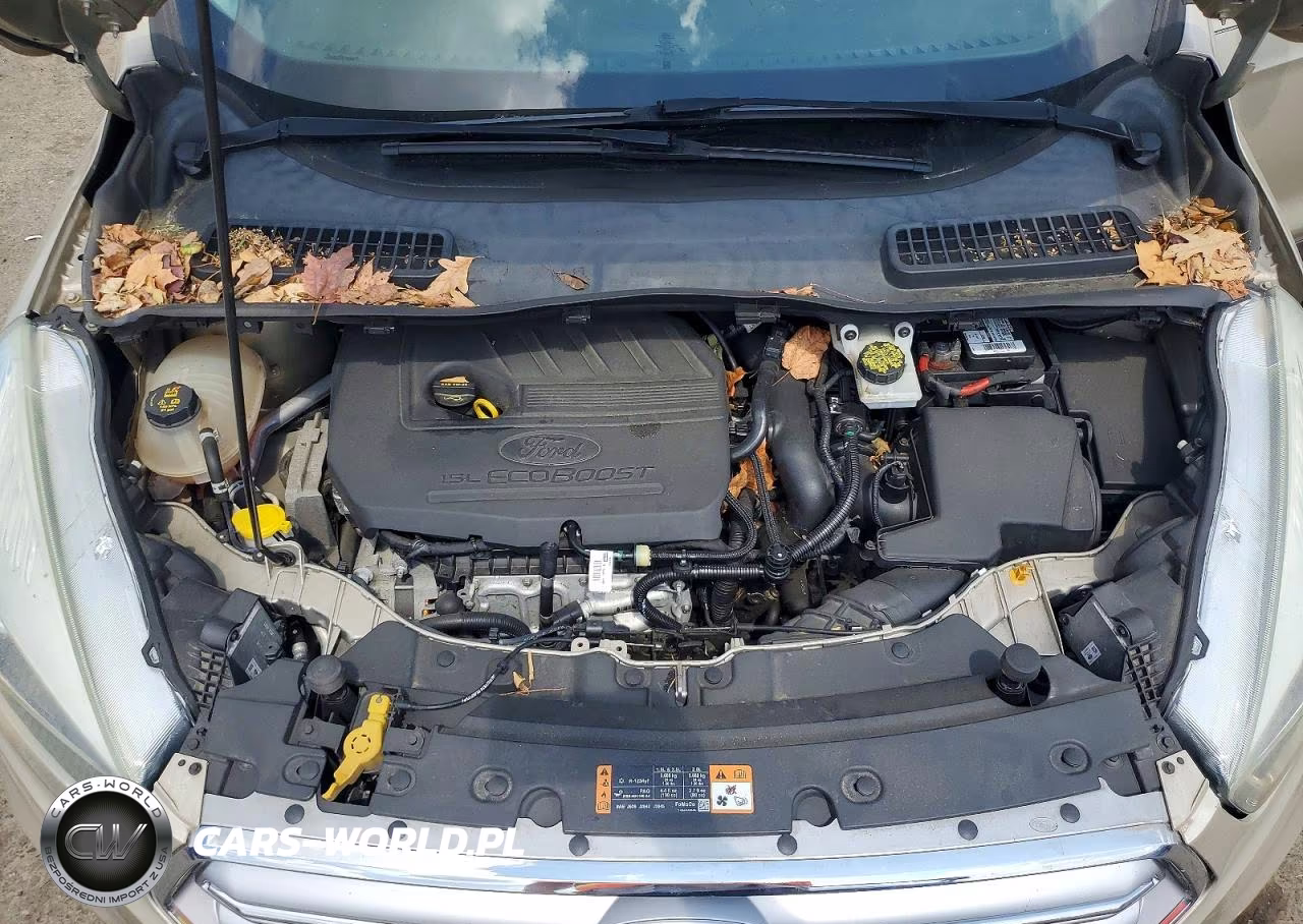 2017 Ford Escape Titanium VIN:1FMCU9JD0HUA18134 - 12