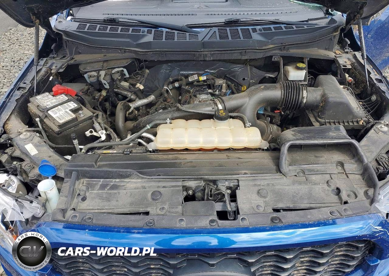 2022 Ford F150 Supercrew VIN:1FTEW1CP7NFA29969 - 11