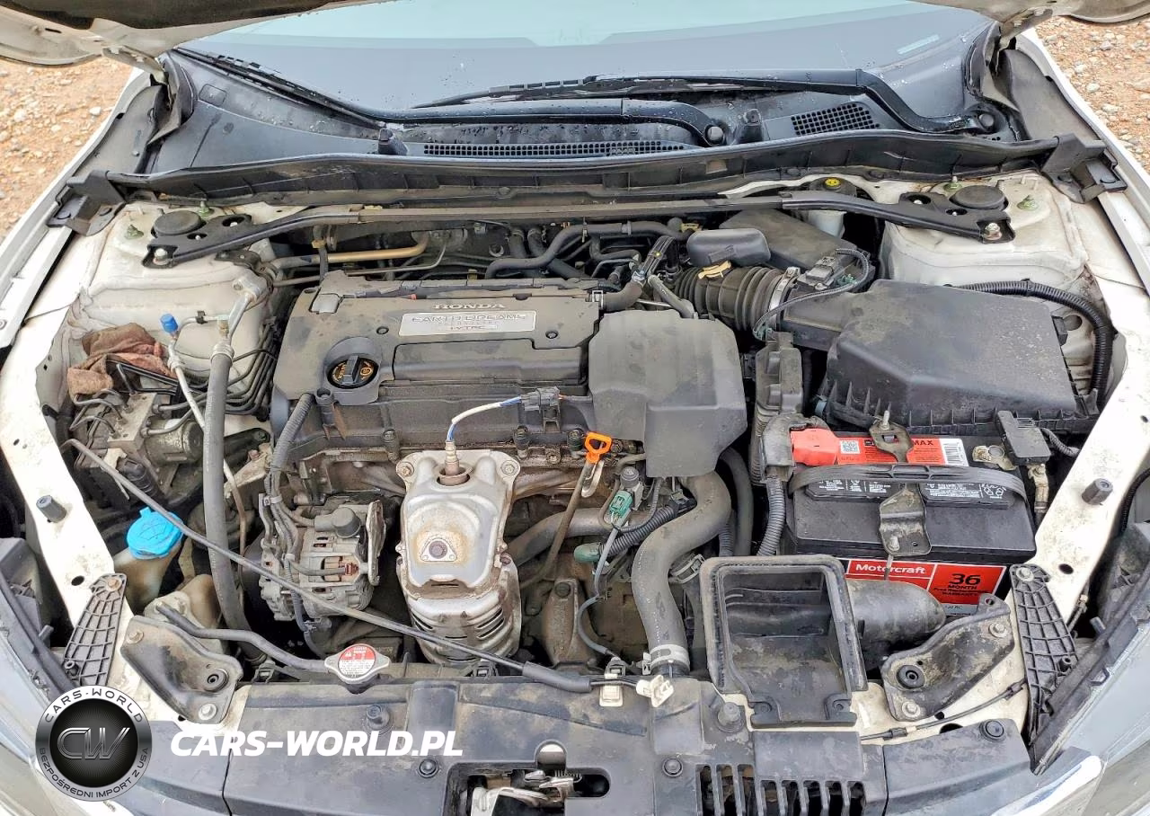2013 Honda Accord Exl VIN:1HGCR2F8XDA236507 - 11