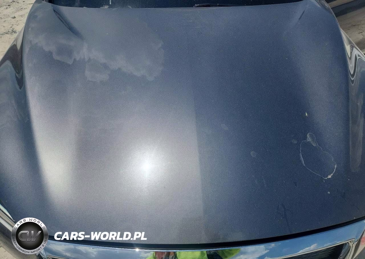 2019 Infiniti Qx50 Luxe VIN:3PCAJ5M12KF135874 - 12