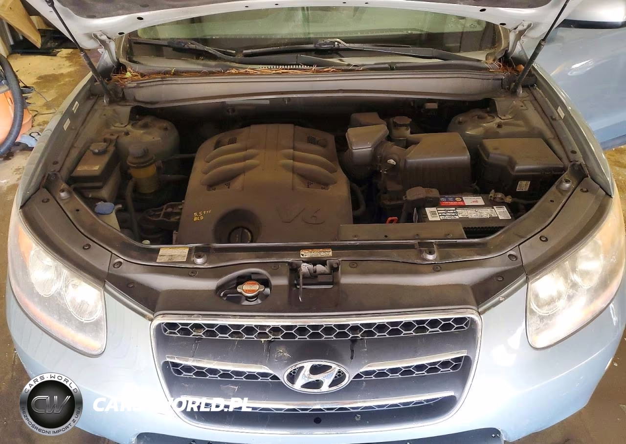 2009 Hyundai Santa Fe Limited VIN:5NMSH73EX9H332414 - 12