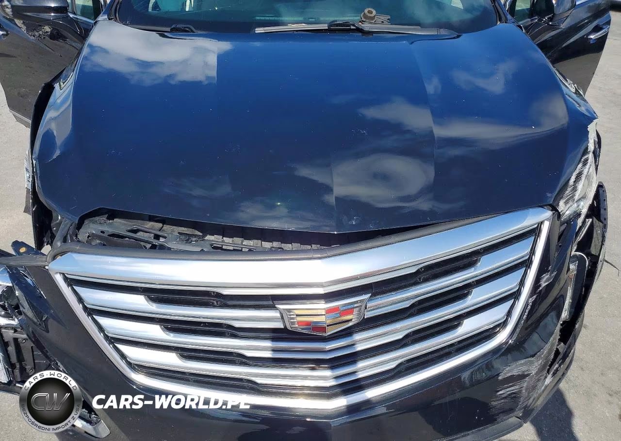 2018 Cadi Xt5 VIN:1GYKNARS6JZ196313 - 11