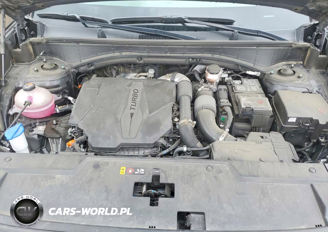 2025 Hyundai Santa Fe Sel VIN:5NMP24GL7SH093487 - 12