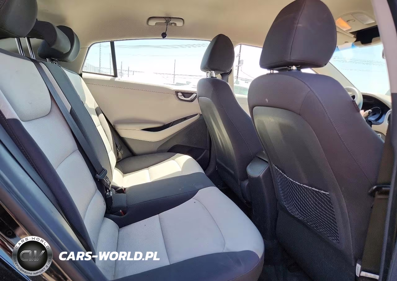 2019 Hyundai Ioniq Blue VIN:KMHC65LC2KU132635 - 10