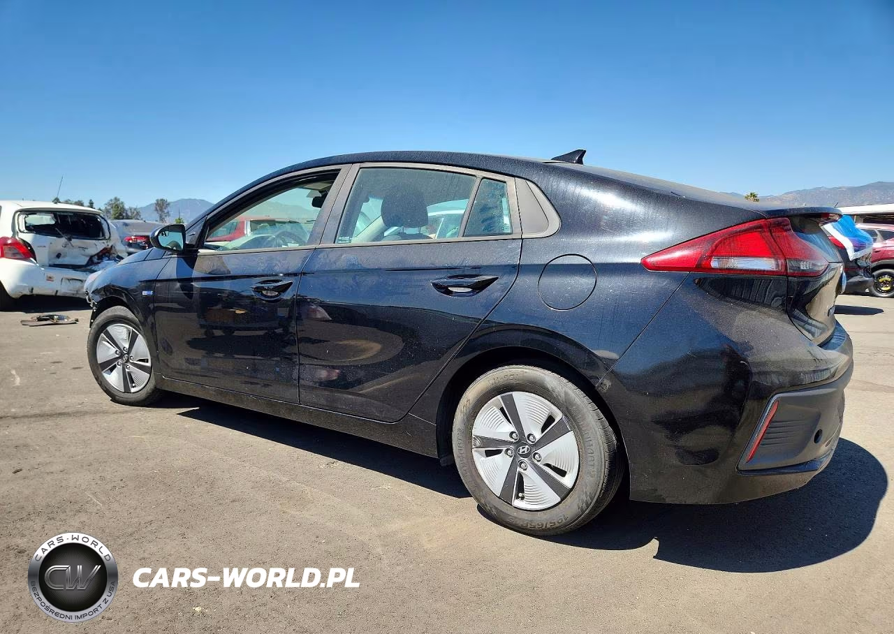 2019 Hyundai Ioniq Blue VIN:KMHC65LC2KU132635 - 2