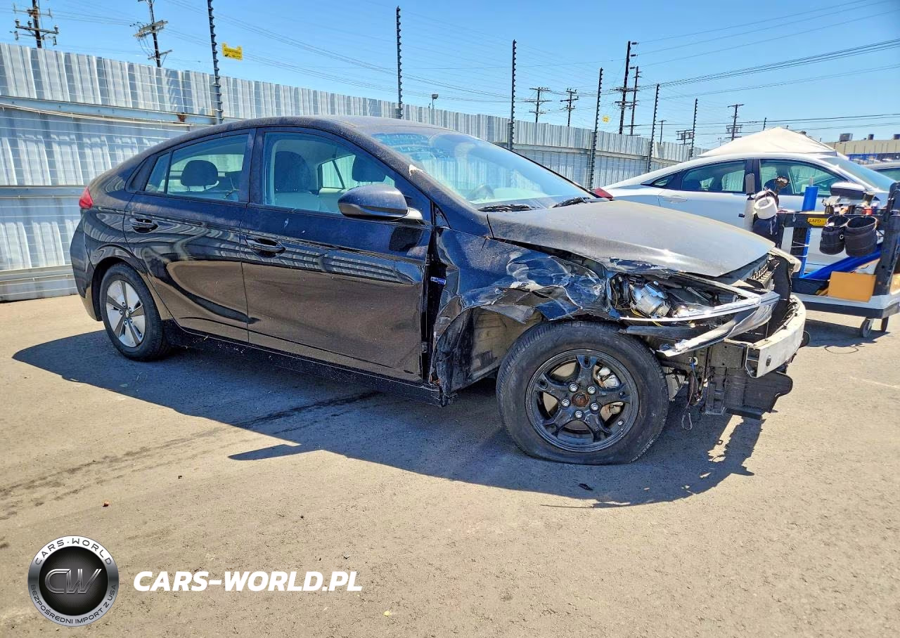 2019 Hyundai Ioniq Blue VIN:KMHC65LC2KU132635 - 4