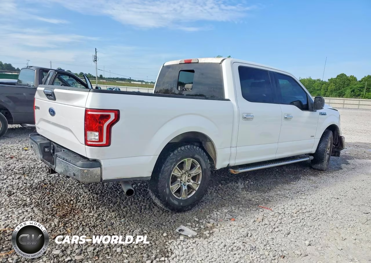 2017 Ford F150 Supercrew VIN:1FTEW1CP7HFA63429 - 3