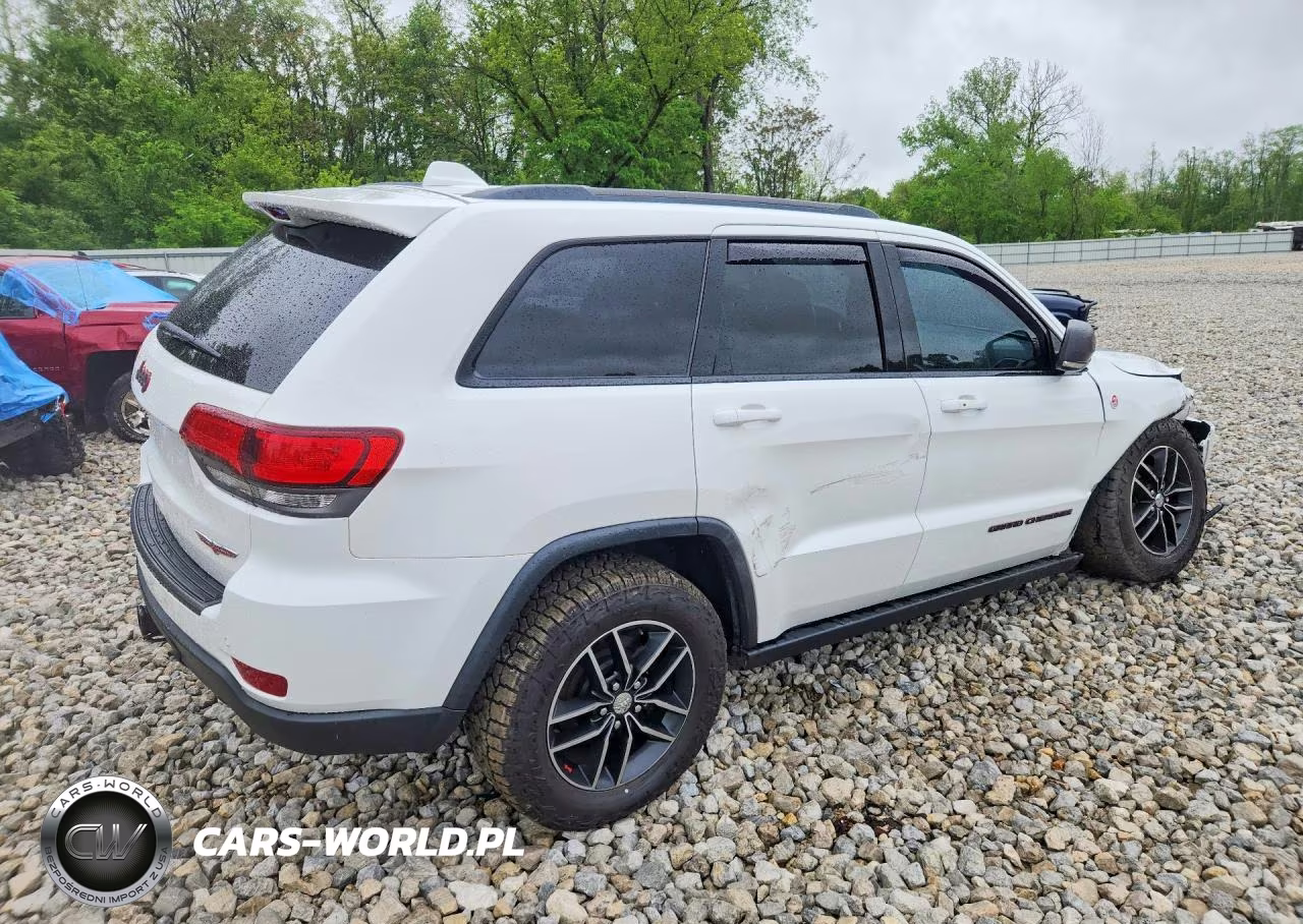 2017 Jeep Grand Cherokee Trailhawk VIN:1C4RJFLG9HC613437 - 3