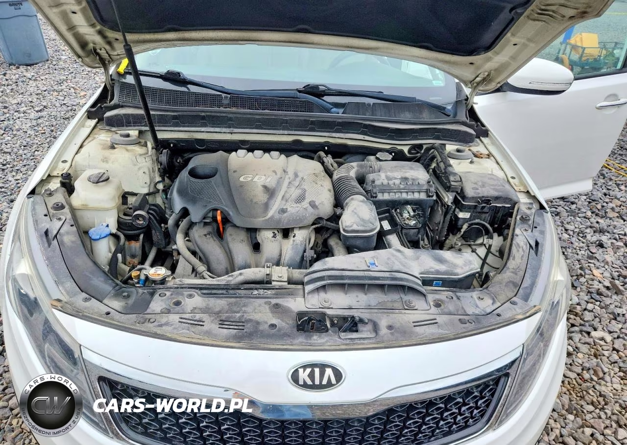 2013 Kia Optima Lx VIN:KNAGM4A79D5329520 - 11