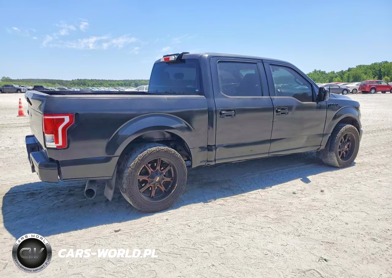 2016 Ford F150 Supercrew VIN:1FTEW1C86GKE50696 - 3