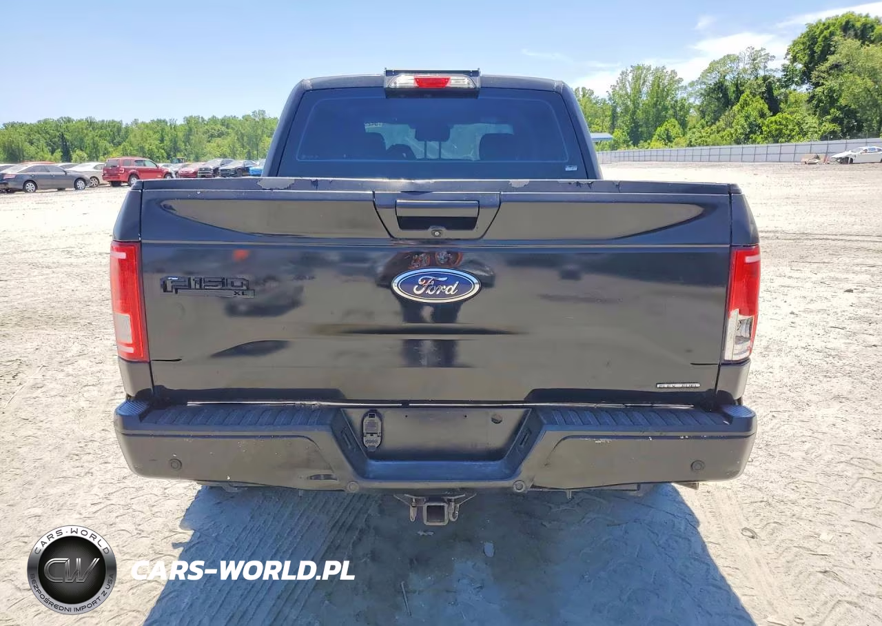 2016 Ford F150 Supercrew VIN:1FTEW1C86GKE50696 - 6