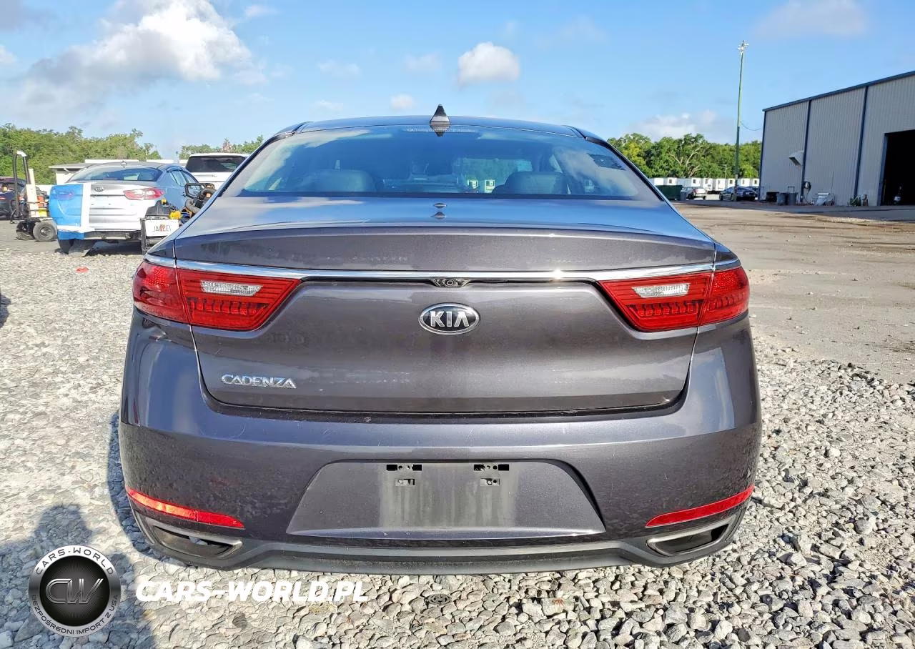 2018 Kia Cadenza Premium VIN:KNALB4J15J5120593 - 6