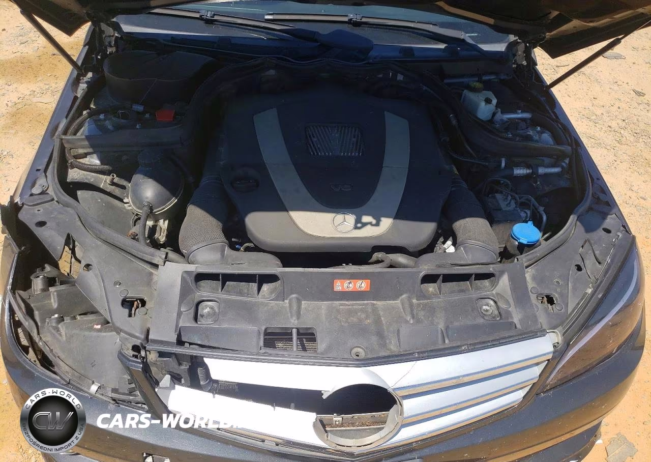 2009 Mercedes-Benz C 300 4Matic VIN:WDDGF81X99R061501 - 11