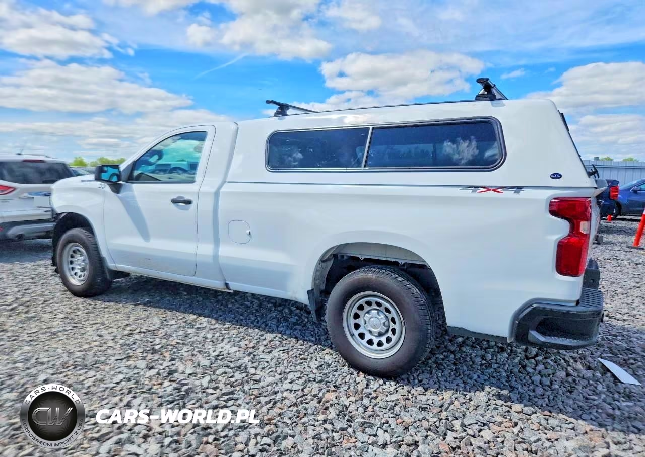 2020 Chevrolet Silverado K1500 VIN:3GCNYAEH4LG145366 - 2