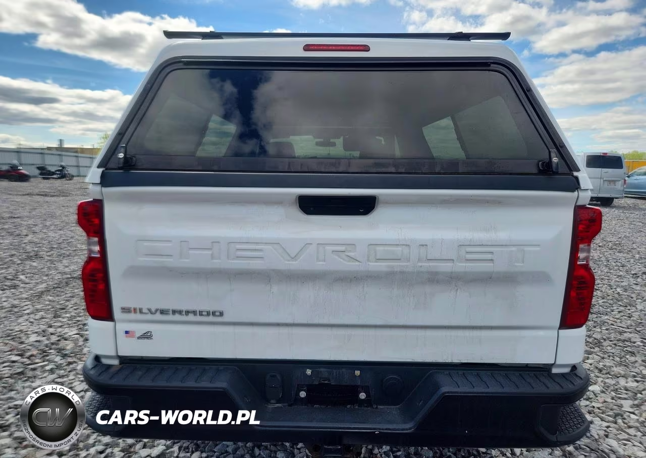 2020 Chevrolet Silverado K1500 VIN:3GCNYAEH4LG145366 - 6