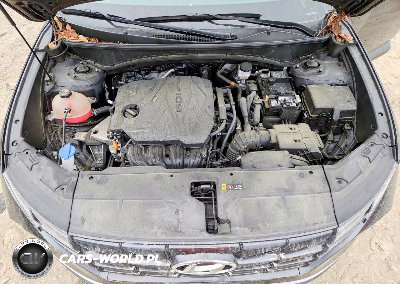 2023 Hyundai Tucson Sel VIN:5NMJBCAEXPH260328 - 12