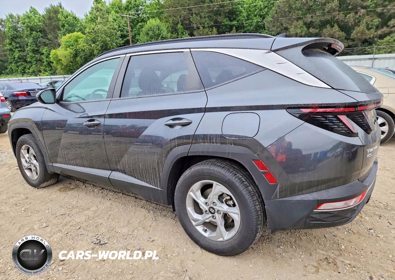 2023 Hyundai Tucson Sel VIN:5NMJBCAEXPH260328 - 2
