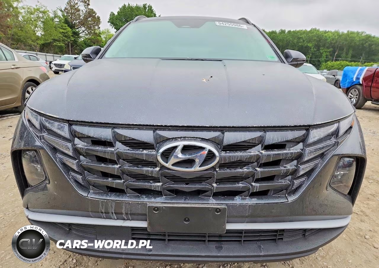 2023 Hyundai Tucson Sel VIN:5NMJBCAEXPH260328 - 5