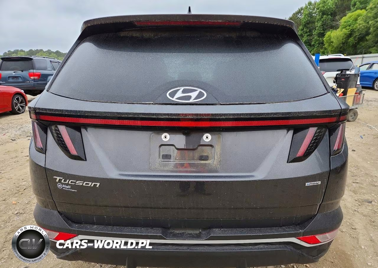 2023 Hyundai Tucson Sel VIN:5NMJBCAEXPH260328 - 6