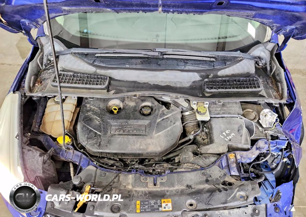 2013 Ford Escape Sel VIN:1FMCU9H99DUA29824 - 11