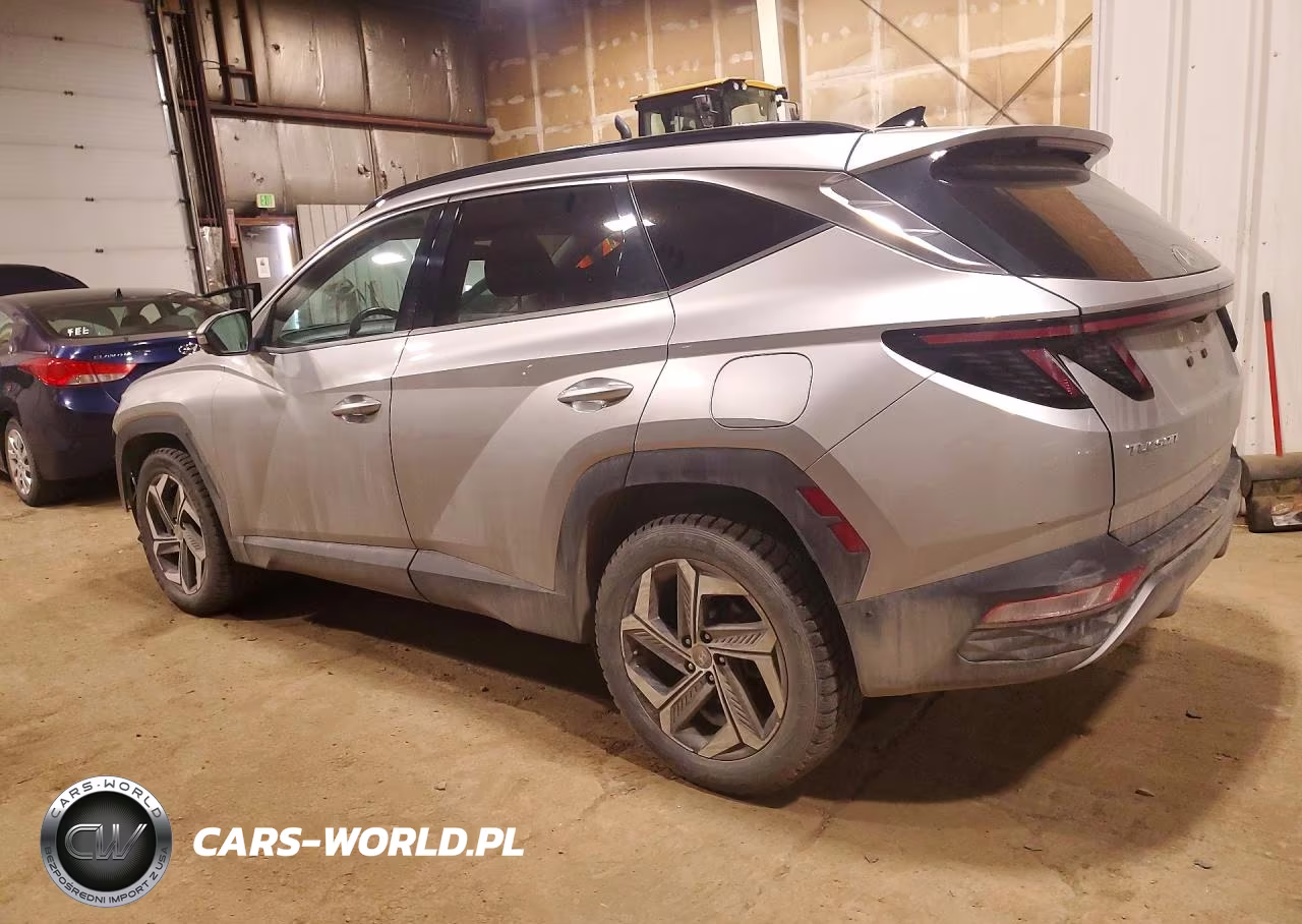 2022 Hyundai Tucson Limited VIN:5NMJECAE4NH022964 - 2
