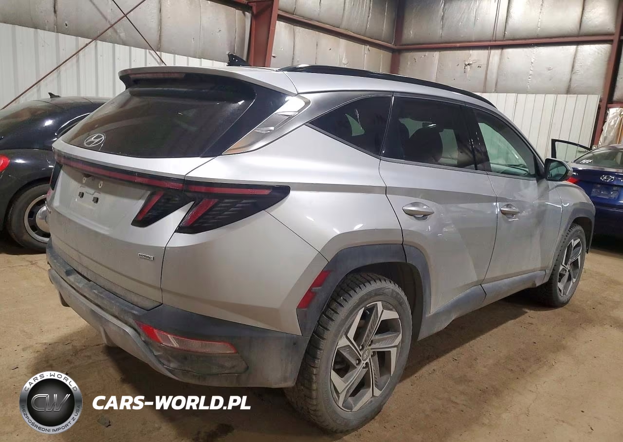2022 Hyundai Tucson Limited VIN:5NMJECAE4NH022964 - 3