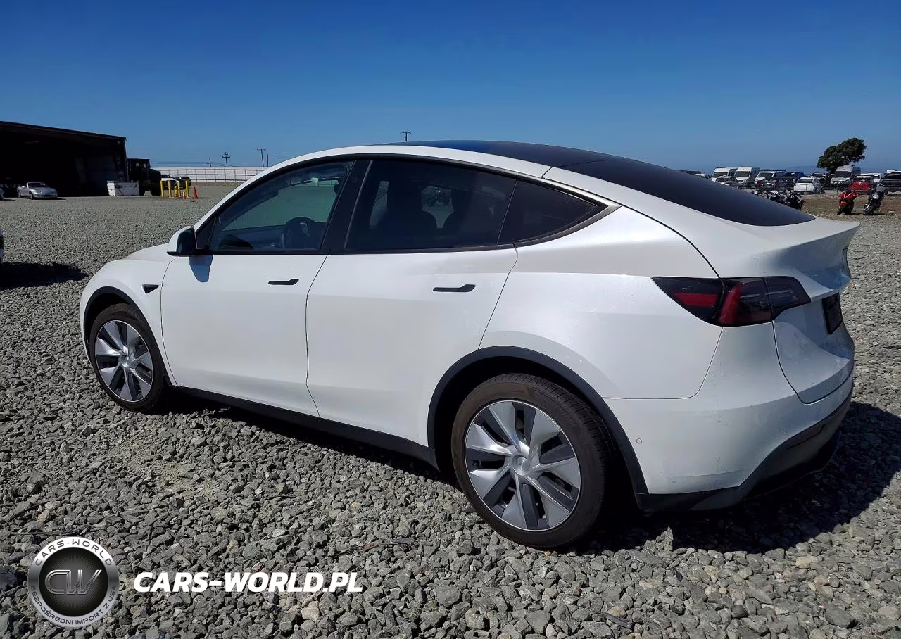 2022 Tesla Model Y VIN:7SAYGDEE9NF356338 - 2