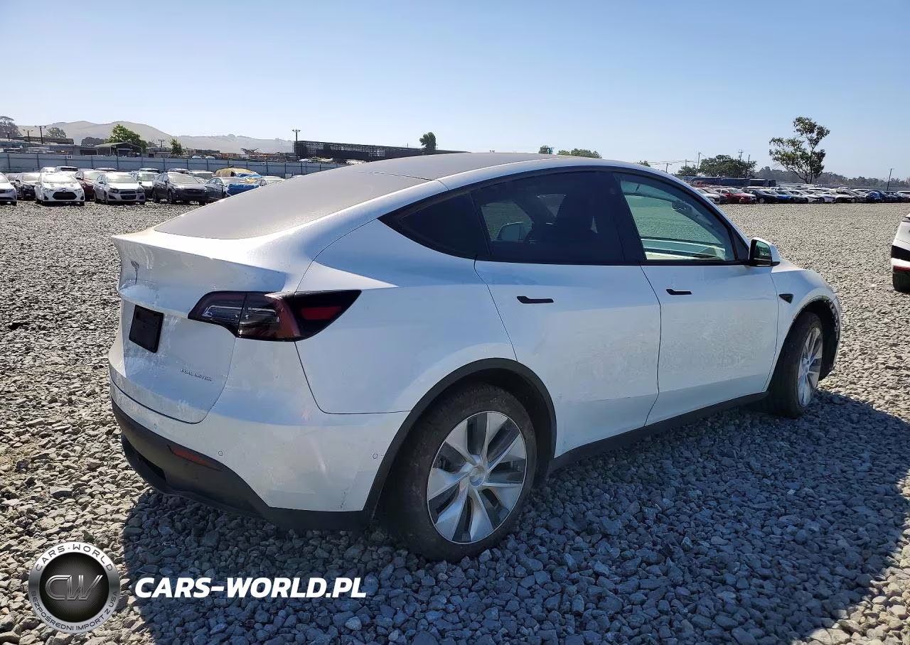 2022 Tesla Model Y VIN:7SAYGDEE9NF356338 - 3