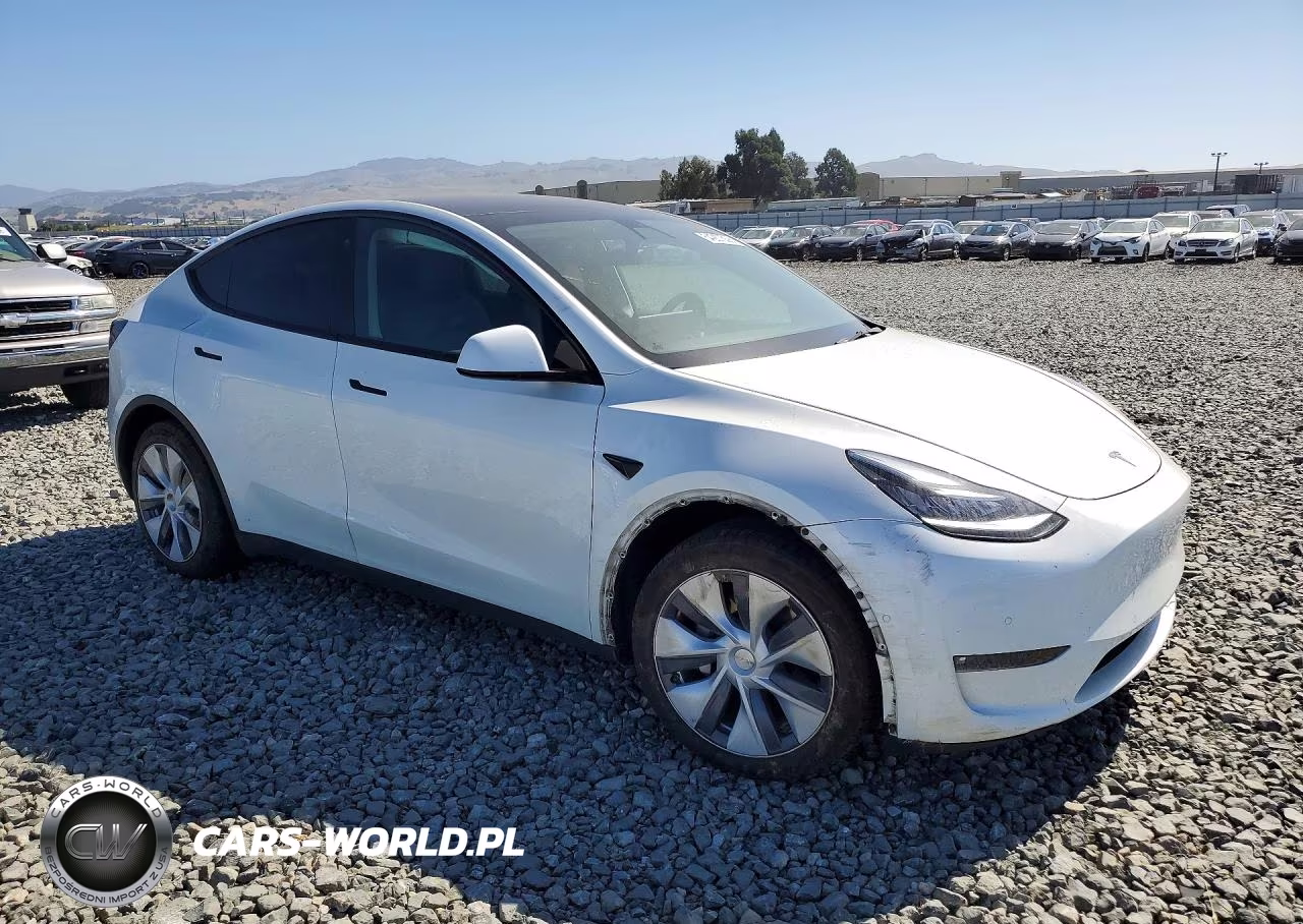 2022 Tesla Model Y VIN:7SAYGDEE9NF356338 - 4