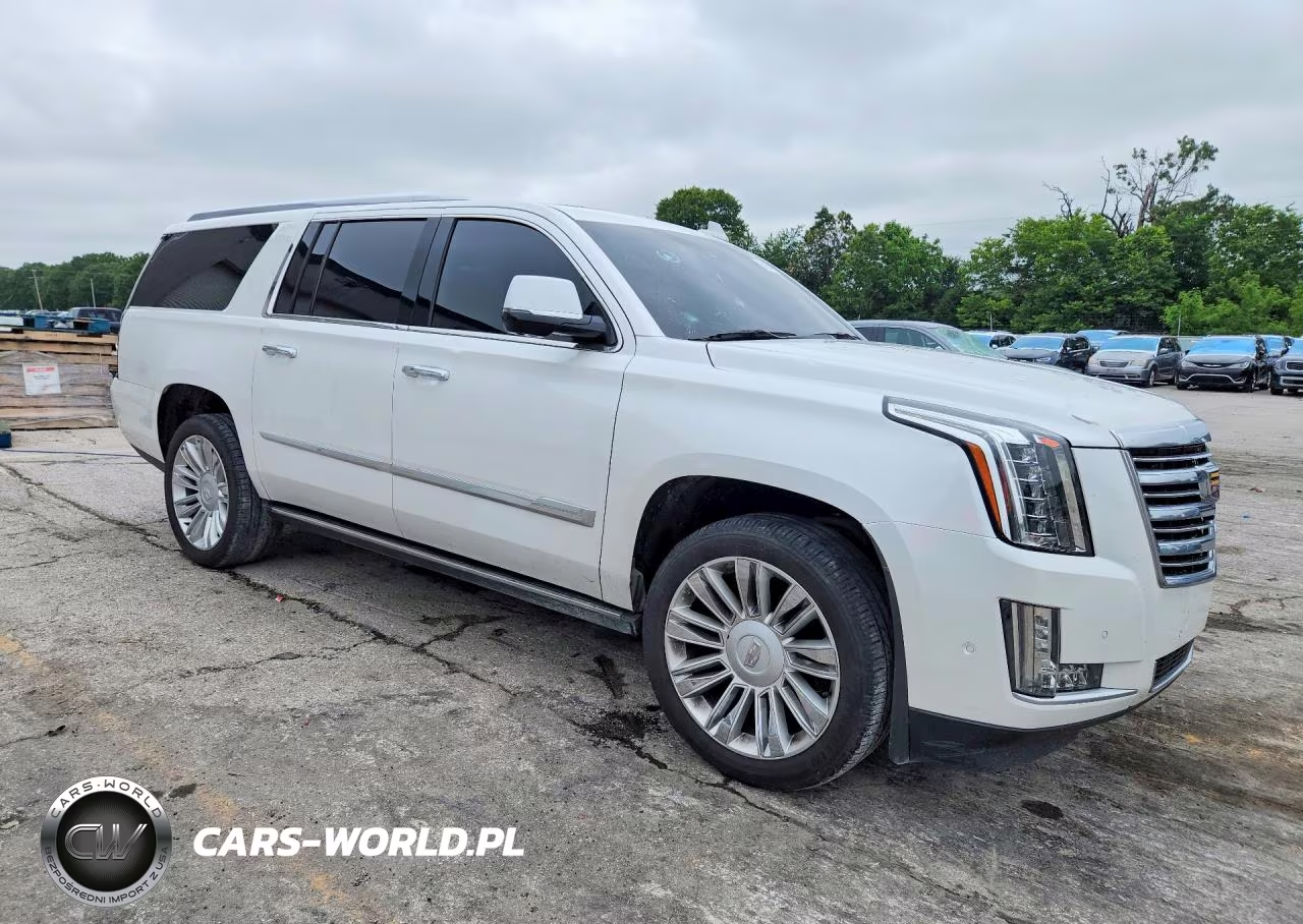 2017 Cadillac Escalade Esv Platinum VIN:1GYS4KKJXHR141108 - 4