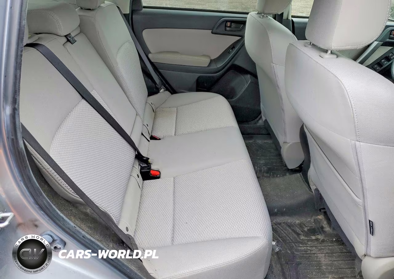 2016 Subaru Forester 2.5I Premium VIN:JF2SJADC9GH439436 - 10