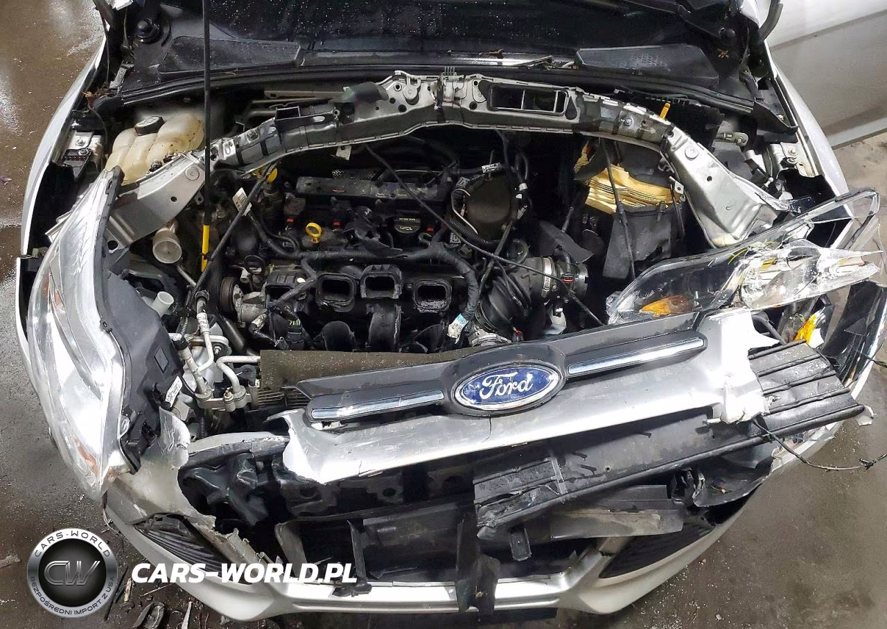2013 Ford Focus Se VIN:1FADP3K20DL263645 - 12