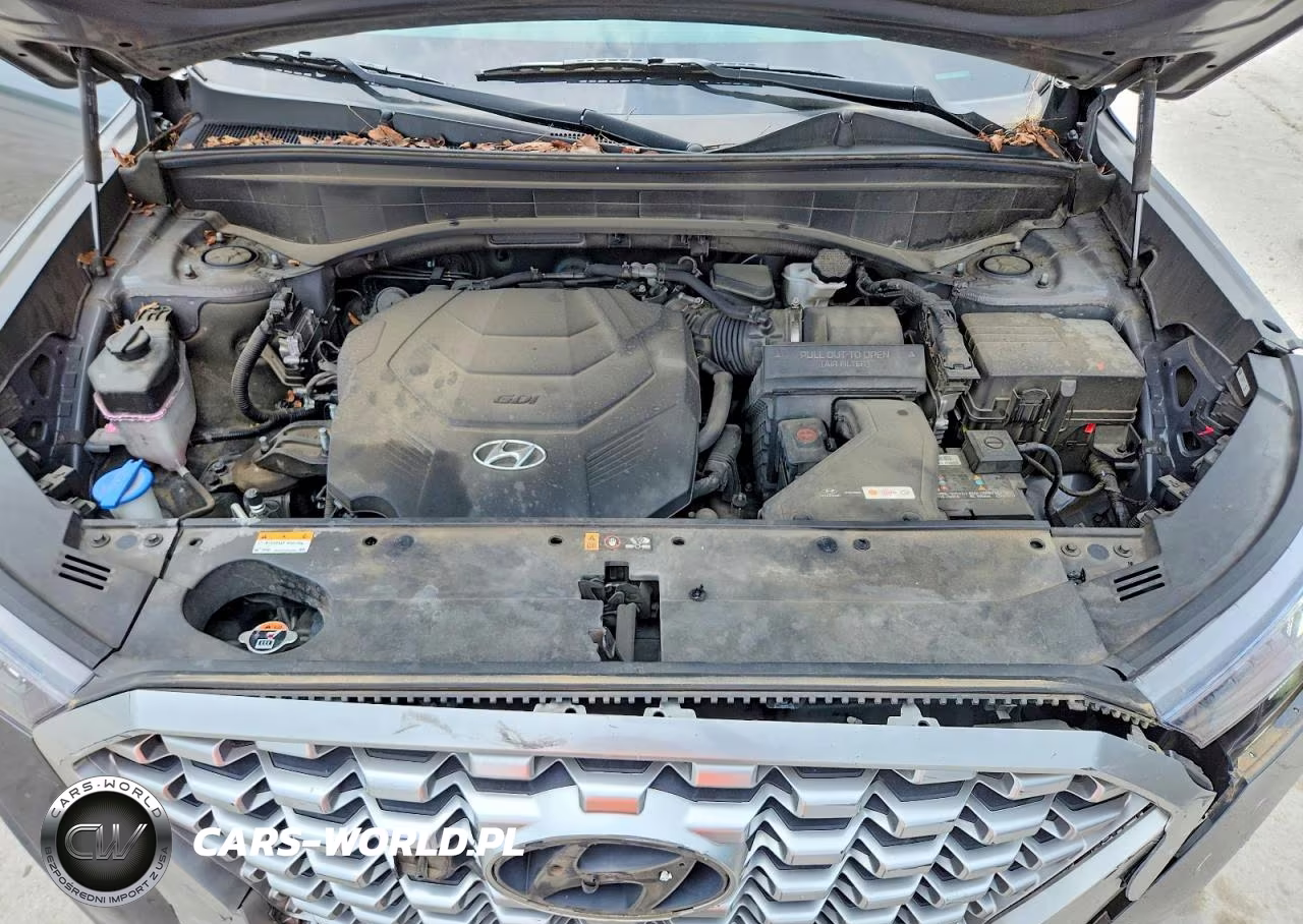 2021 Hyun Palisade Se Awd VIN:KM8R44HE3MU298220 - 12