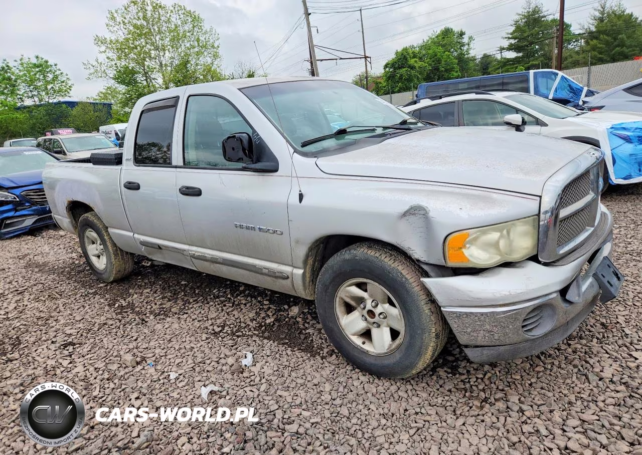 2002 Dodge Ram 1500 VIN:1D7HA18N62S529956 - 4