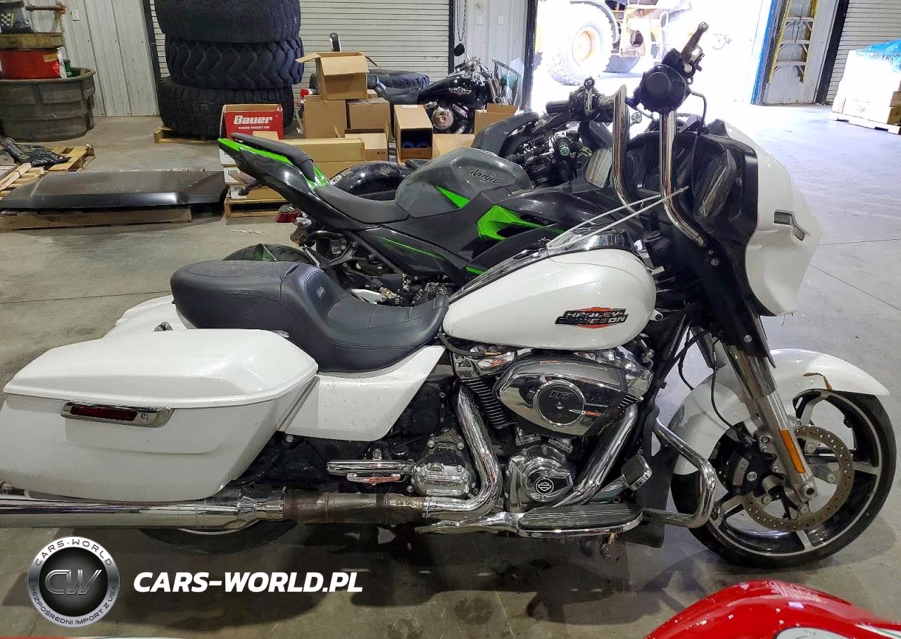 2024 Harley-Davidson Flhx
