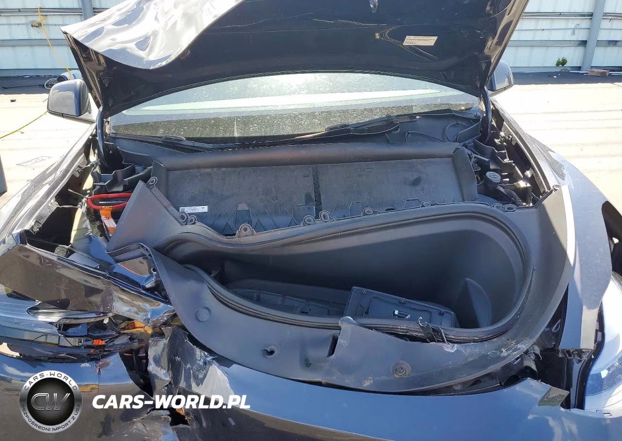 2024 Tesla Model Y VIN:7SAYGDED4RF038592 - 11