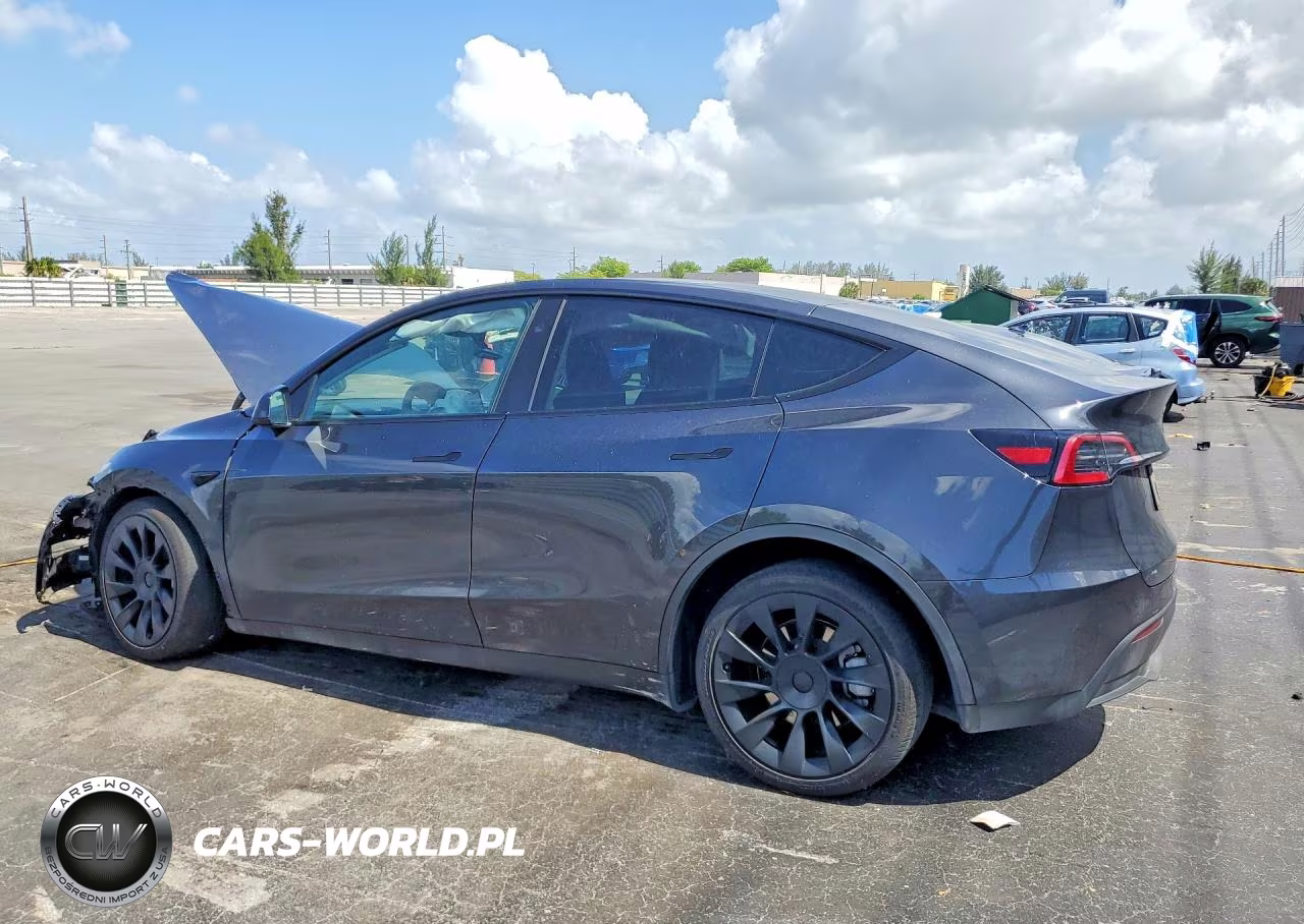 2024 Tesla Model Y VIN:7SAYGDED4RF038592 - 2