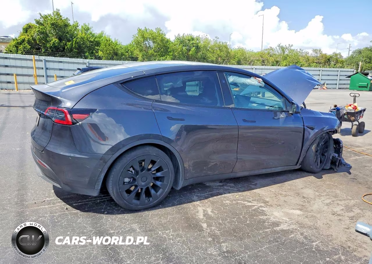 2024 Tesla Model Y VIN:7SAYGDED4RF038592 - 3