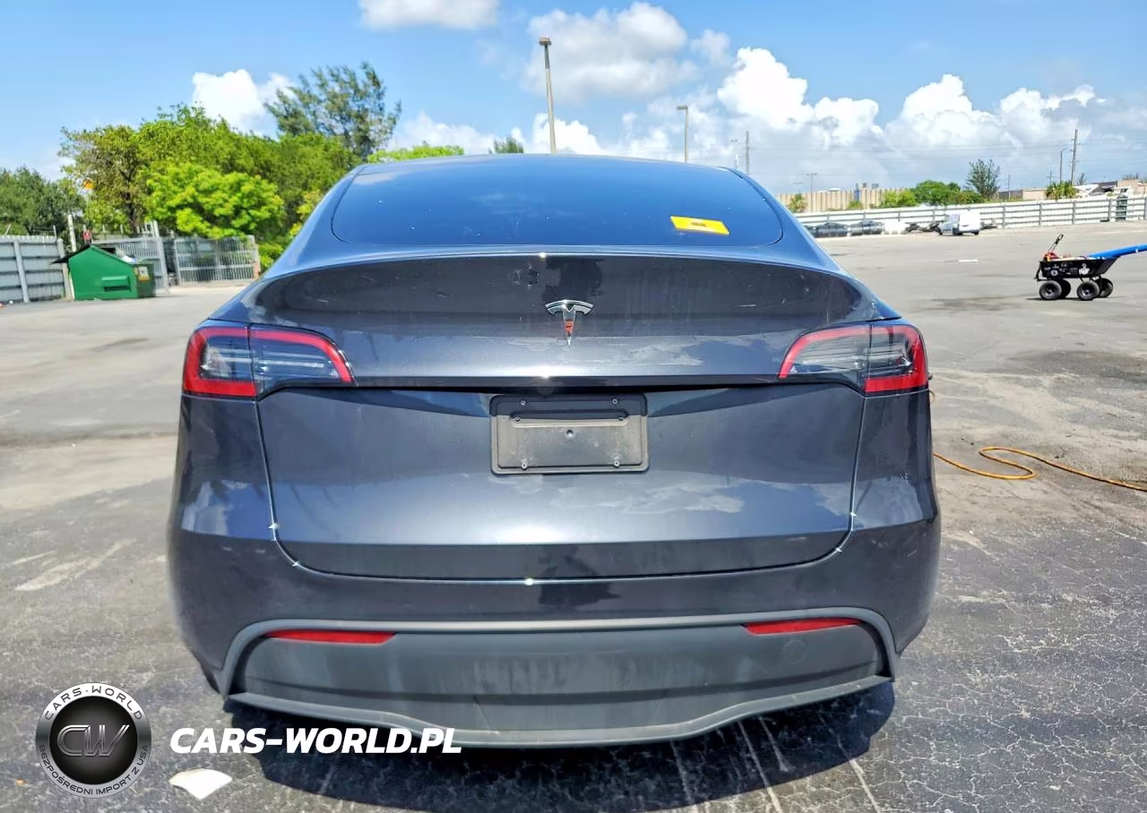 2024 Tesla Model Y VIN:7SAYGDED4RF038592 - 6