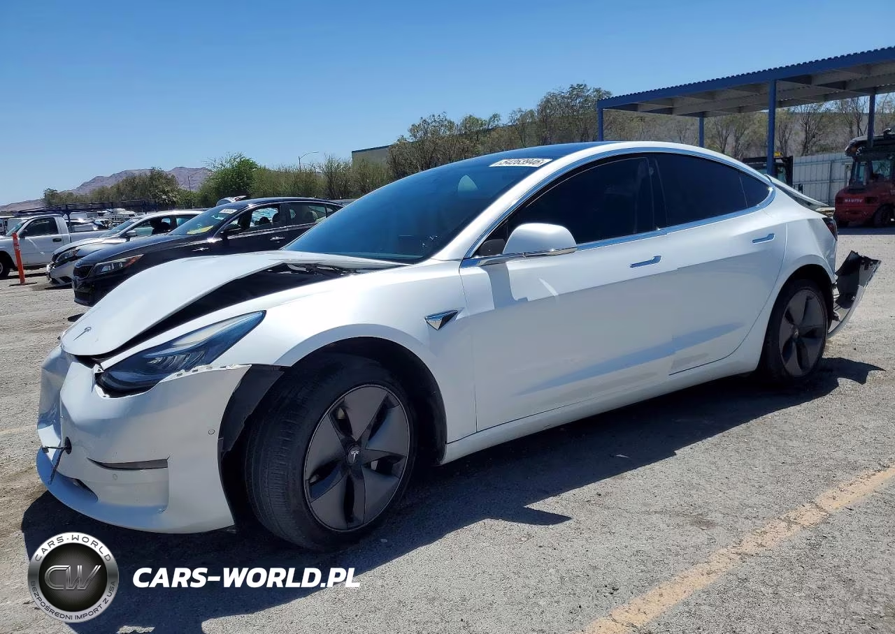 2019 Tesla Model 3