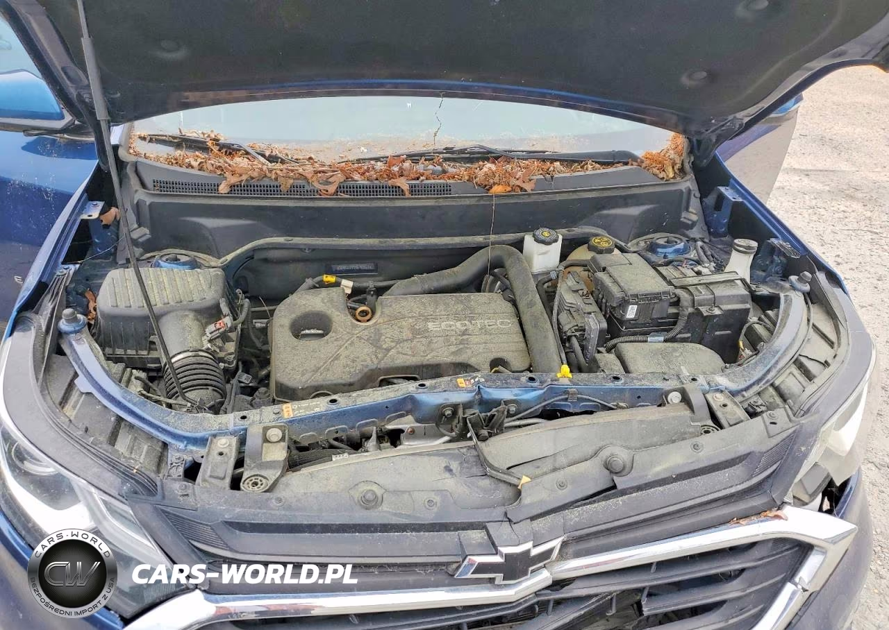2019 Chevrolet Equinox Lt VIN:2GNAXKEV2K6153321 - 12