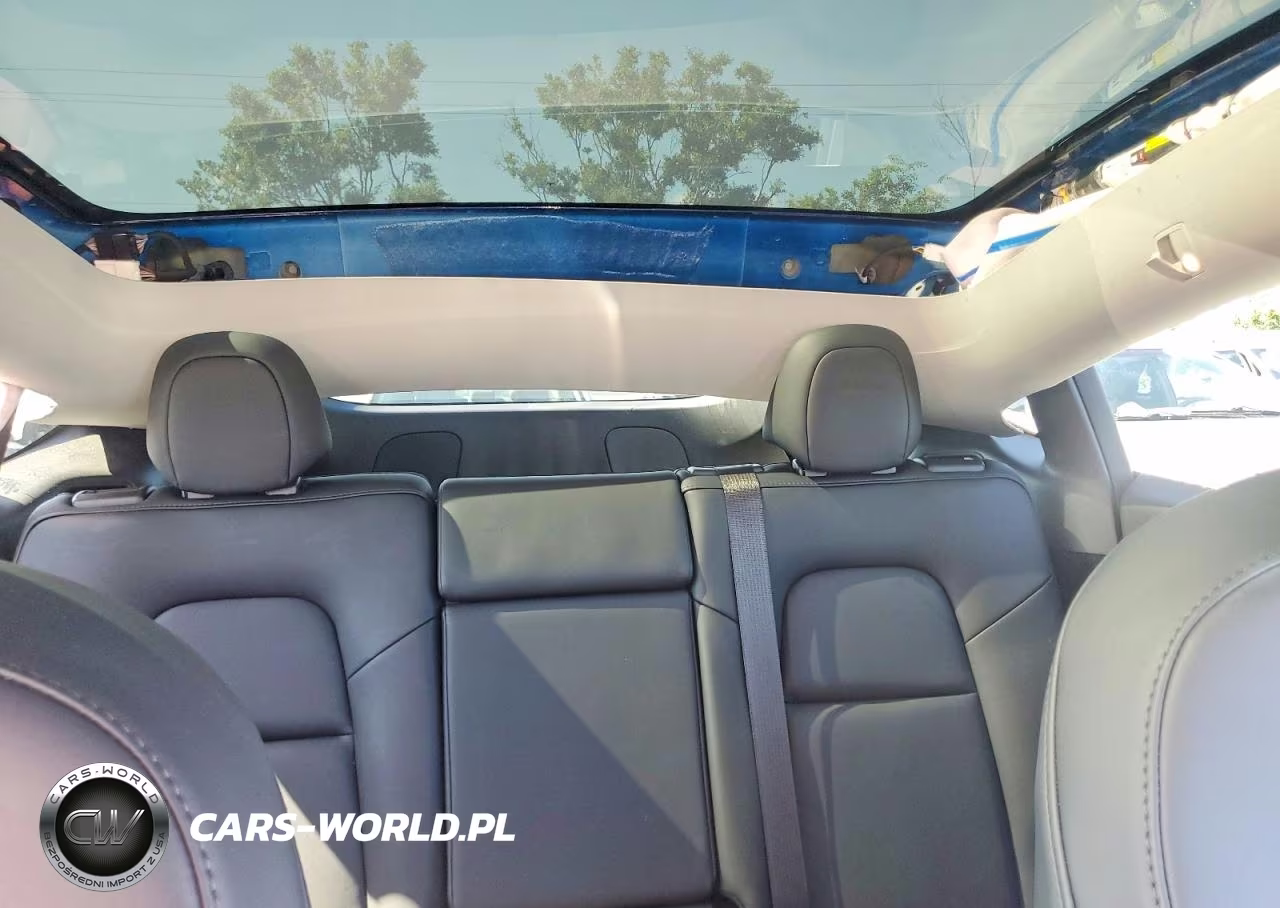 2024 Tesla Model Y VIN:7SAYGDED9RF169081 - 10