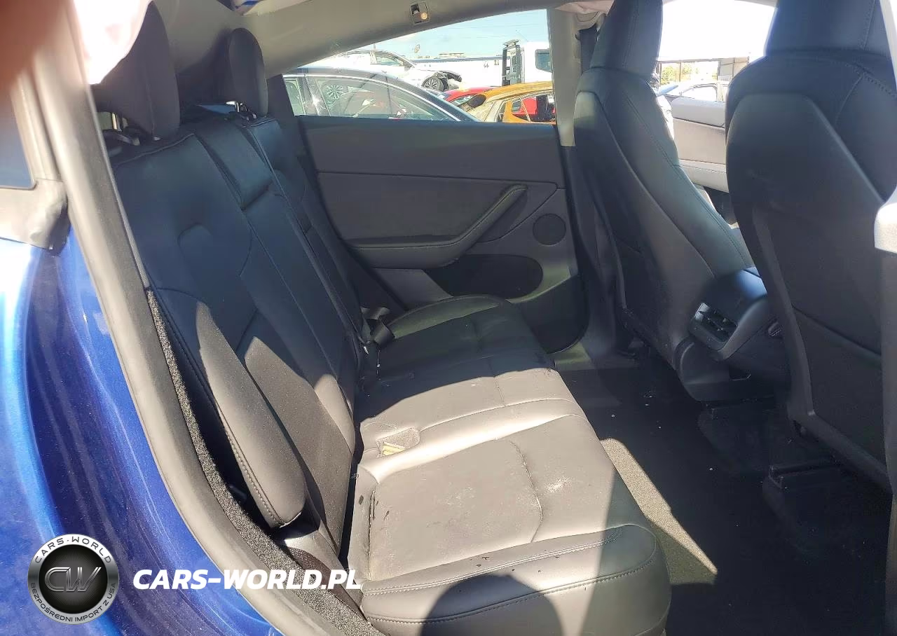 2024 Tesla Model Y VIN:7SAYGDED9RF169081 - 11
